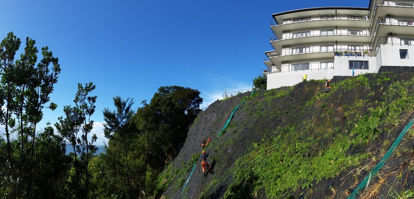 Anchored mesh stabilisation across the cliff beneath Pinesong Retirement Village