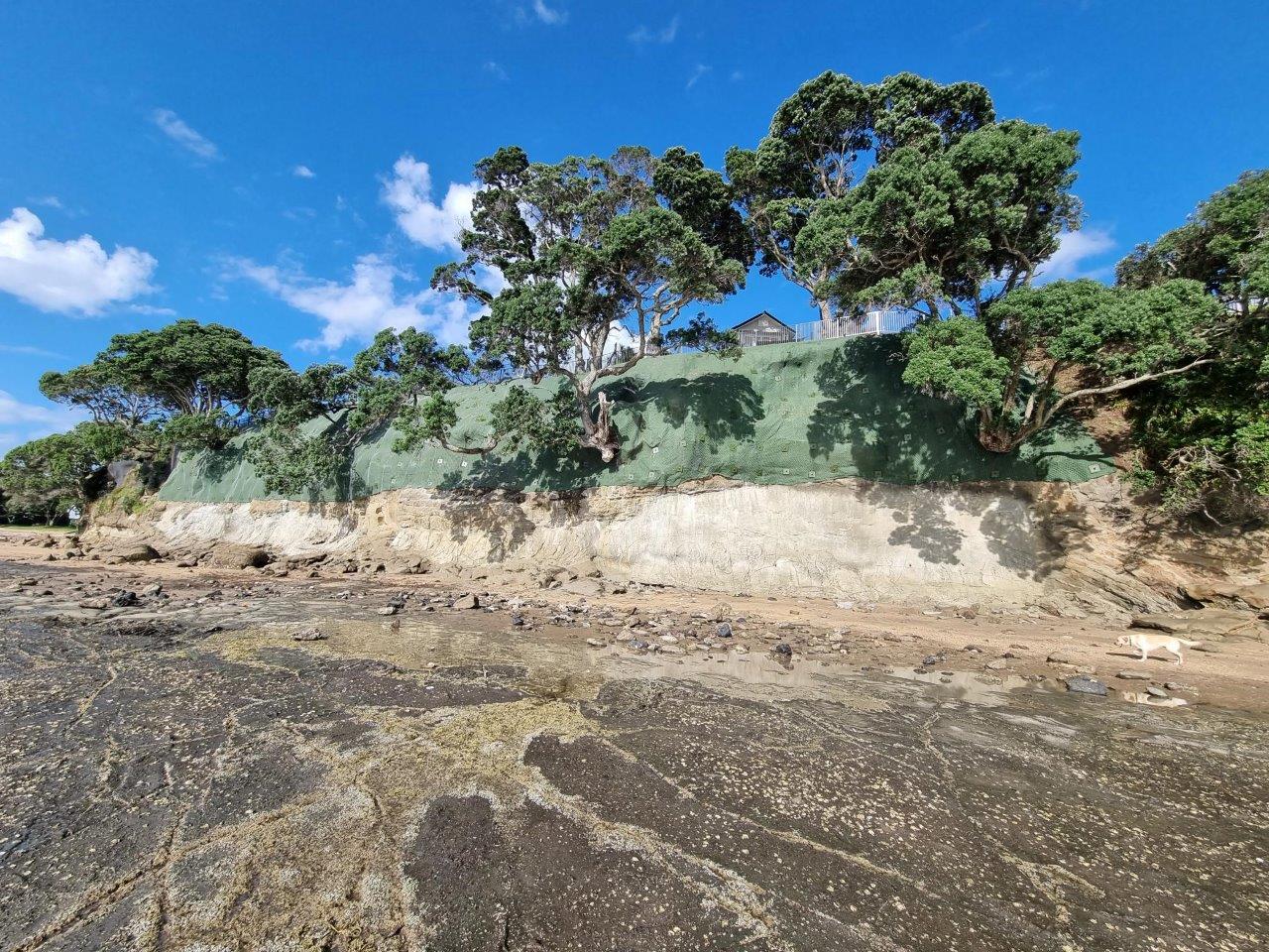 Completed stabilised coastal cliff with vegetation established