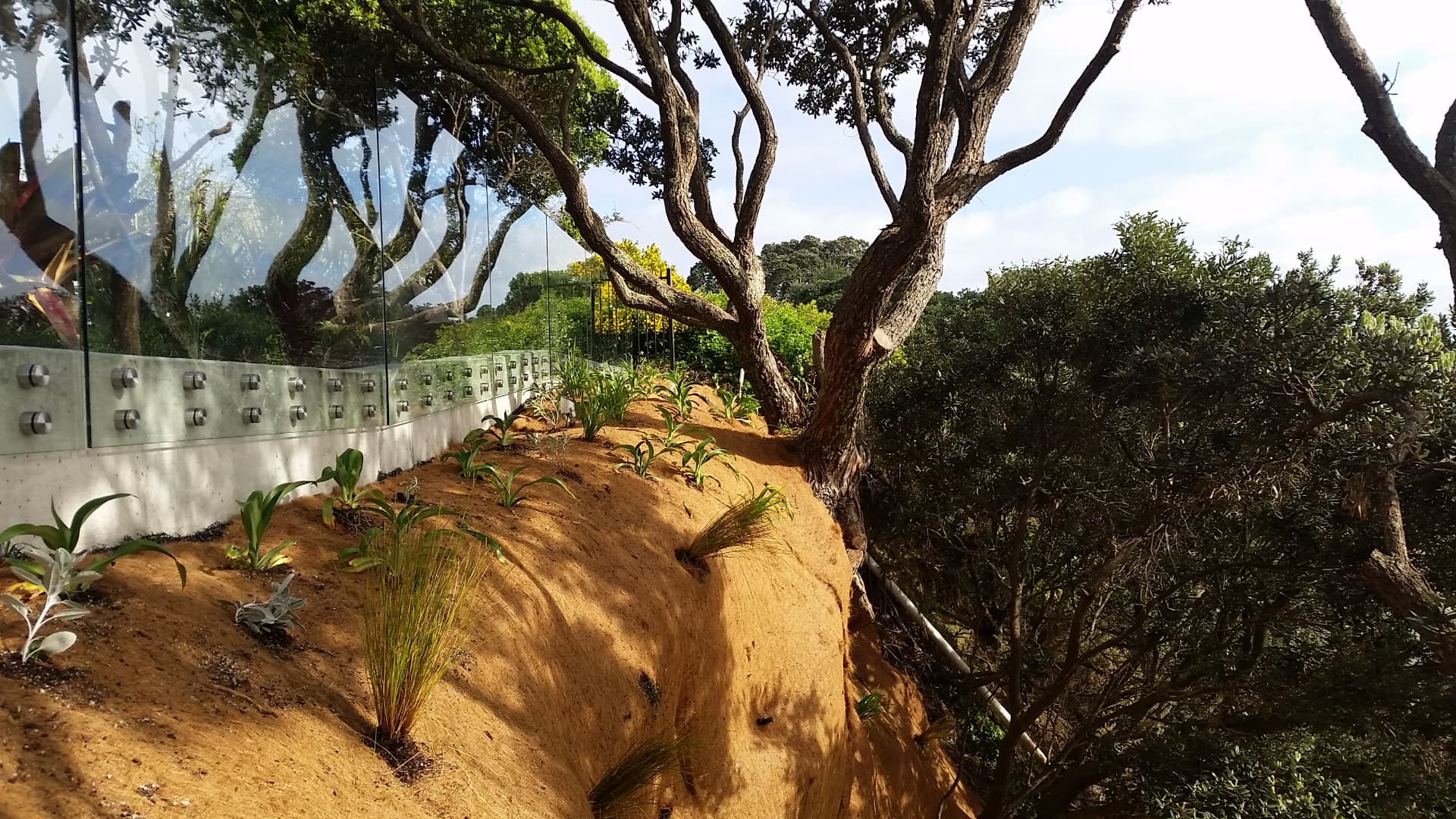 Reinstated garden following coastal works